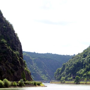 Rhine